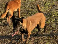 processed/17fec328-e62e-41e4-bb6f-b78f92a5b86b/listing/bd4c1a83-ee9e-47ad-a765-161477add84f/396c1085-575e-4556-881d-4633efc5282c