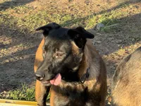 processed/17fec328-e62e-41e4-bb6f-b78f92a5b86b/listing/bd4c1a83-ee9e-47ad-a765-161477add84f/c5dec05f-768c-4951-990e-486f3c1af60c