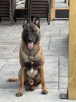 processed/17fec328-e62e-41e4-bb6f-b78f92a5b86b/listing/ebee03f8-5c1c-42e7-8294-343fde2fc764/137c9b5d-1b45-47c9-b342-3516263f0286