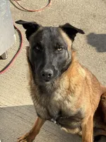 processed/17fec328-e62e-41e4-bb6f-b78f92a5b86b/listing/ebee03f8-5c1c-42e7-8294-343fde2fc764/644bde38-04d8-4d0b-b569-63850bac93b0