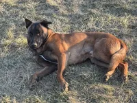 processed/17fec328-e62e-41e4-bb6f-b78f92a5b86b/listing/ebee03f8-5c1c-42e7-8294-343fde2fc764/7fc9408d-4956-4b4f-872d-711f4d167bd8