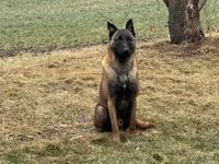 processed/17fec328-e62e-41e4-bb6f-b78f92a5b86b/listing/ebee03f8-5c1c-42e7-8294-343fde2fc764/865b6b9c-b586-40e5-b5c3-3c3565012618