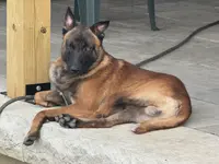 processed/17fec328-e62e-41e4-bb6f-b78f92a5b86b/listing/ebee03f8-5c1c-42e7-8294-343fde2fc764/871d464d-cde5-410b-b71f-4ecc9a15b16f