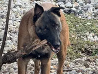 processed/17fec328-e62e-41e4-bb6f-b78f92a5b86b/listing/ebee03f8-5c1c-42e7-8294-343fde2fc764/88daf28f-7b13-4f4b-83bf-f6bf2c8bc8c1