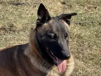 processed/17fec328-e62e-41e4-bb6f-b78f92a5b86b/listing/ebee03f8-5c1c-42e7-8294-343fde2fc764/c51f92e6-1eaf-49d2-8df9-c965016c4739