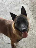 processed/17fec328-e62e-41e4-bb6f-b78f92a5b86b/listing/ebee03f8-5c1c-42e7-8294-343fde2fc764/f3119141-ed0b-4fd8-bc79-c7c3b779c0c2