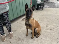 processed/17fec328-e62e-41e4-bb6f-b78f92a5b86b/listing/eca86fce-0f2a-4b31-984e-db437a50103a/6b94dc72-ff58-469e-9d3e-c16ddd07ac4a