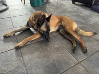 processed/17fec328-e62e-41e4-bb6f-b78f92a5b86b/listing/eca86fce-0f2a-4b31-984e-db437a50103a/d24cae55-5173-4279-9e1f-d2ca0c48841d