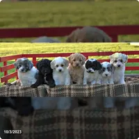 processed/1803e13e-bf07-41b3-af5f-d57fdf6e79d0/facility/5403804e-49f6-45c7-be5d-efb1d1107db7