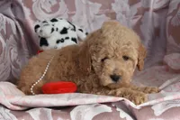 processed/1803e13e-bf07-41b3-af5f-d57fdf6e79d0/listing/0e0b1c20-8a67-4736-a8e1-73ecf357aa9d/1bf646f5-fa2e-437c-ae2b-e5eb6c00076f