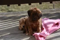 processed/1803e13e-bf07-41b3-af5f-d57fdf6e79d0/listing/5e09f335-f9e9-4e79-913b-f13213aef386/078591ed-81df-4d55-a45a-97d32ef677bc