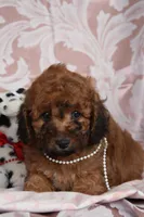 processed/1803e13e-bf07-41b3-af5f-d57fdf6e79d0/listing/5e09f335-f9e9-4e79-913b-f13213aef386/e06a65a3-51fa-4865-a826-39d7a43da5cc