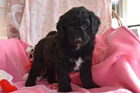 processed/1803e13e-bf07-41b3-af5f-d57fdf6e79d0/listing/a75f0f8e-00f9-4f7c-aeb3-1cfac81fd8ad/6787cd34-b3fb-4379-a192-09c3f6cdaae6