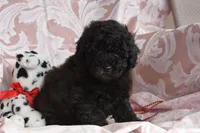 processed/1803e13e-bf07-41b3-af5f-d57fdf6e79d0/listing/bc7c03bd-a90f-47ec-8313-3144b92b645b/5f2d7c0f-0583-4245-bed5-0e8e18443538