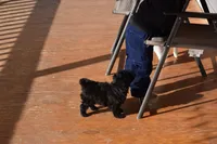 processed/1803e13e-bf07-41b3-af5f-d57fdf6e79d0/listing/bc7c03bd-a90f-47ec-8313-3144b92b645b/c5a32556-4fb0-4056-baa2-7d2a9268c3f4