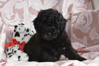 processed/1803e13e-bf07-41b3-af5f-d57fdf6e79d0/listing/bc7c03bd-a90f-47ec-8313-3144b92b645b/dc188b02-63e6-4c61-9f8a-a8b411bde4c7