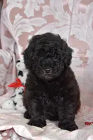 processed/1803e13e-bf07-41b3-af5f-d57fdf6e79d0/listing/bc7c03bd-a90f-47ec-8313-3144b92b645b/f1796bf9-915c-44c4-a2e7-f762c5b73517