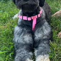 processed/1816aabb-5c0f-42d6-ab32-b6e5008f9348/facility/06315a9c-f770-47bc-8a09-992e3d3dde93