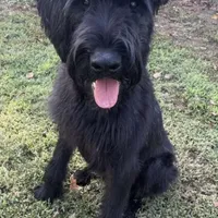 processed/1816aabb-5c0f-42d6-ab32-b6e5008f9348/facility/0c3a1416-4232-444f-b0ea-95c1cf503679