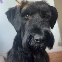 processed/1816aabb-5c0f-42d6-ab32-b6e5008f9348/facility/247d307d-b61a-4d9d-8db2-881d60058e67