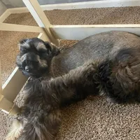 processed/1816aabb-5c0f-42d6-ab32-b6e5008f9348/facility/d8dc6084-bba4-4ac3-9471-3b201e1bd76f