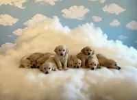 processed/181e7d4d-8526-46d4-876c-b53ebc1f7546/facility/105143c2-d178-4ead-97b5-be92d760e47f