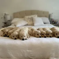 processed/181e7d4d-8526-46d4-876c-b53ebc1f7546/facility/622f4ab8-8b31-4f41-a023-c3b93c35ed68