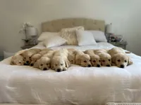 processed/181e7d4d-8526-46d4-876c-b53ebc1f7546/facility/622f4ab8-8b31-4f41-a023-c3b93c35ed68