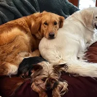 processed/181e7d4d-8526-46d4-876c-b53ebc1f7546/facility/70217ece-f434-414c-9697-e925b1196aba