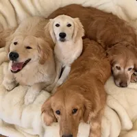 processed/181e7d4d-8526-46d4-876c-b53ebc1f7546/facility/769f8def-caa7-4722-94bd-540ed063bb3d