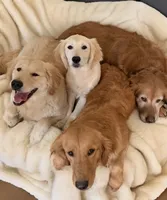 processed/181e7d4d-8526-46d4-876c-b53ebc1f7546/facility/769f8def-caa7-4722-94bd-540ed063bb3d