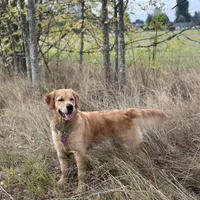 processed/181e7d4d-8526-46d4-876c-b53ebc1f7546/facility/a9a680f1-c54d-4faf-852e-e91c06139792