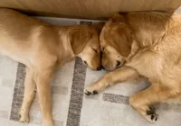 processed/181e7d4d-8526-46d4-876c-b53ebc1f7546/facility/b8719a46-65c3-4ff0-8ad8-52df747e6b51