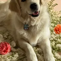 processed/181e7d4d-8526-46d4-876c-b53ebc1f7546/facility/decd91d2-ecd6-4a99-b47b-cf023a06d39a