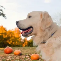 processed/181e7d4d-8526-46d4-876c-b53ebc1f7546/facility/fc08c984-0662-4129-9088-2612b08e2f97