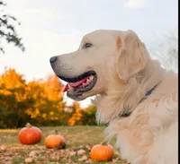 processed/181e7d4d-8526-46d4-876c-b53ebc1f7546/facility/fc08c984-0662-4129-9088-2612b08e2f97