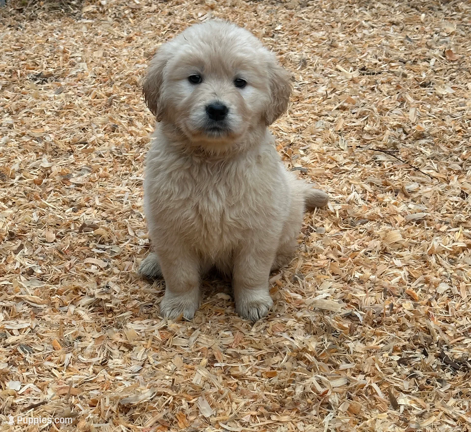 processed/181e7d4d-8526-46d4-876c-b53ebc1f7546/listing/f13ba679-d1ba-44bc-a6a7-47d60ffe7485/251c7426-6efe-4de6-a035-d8c7b97b3d6f