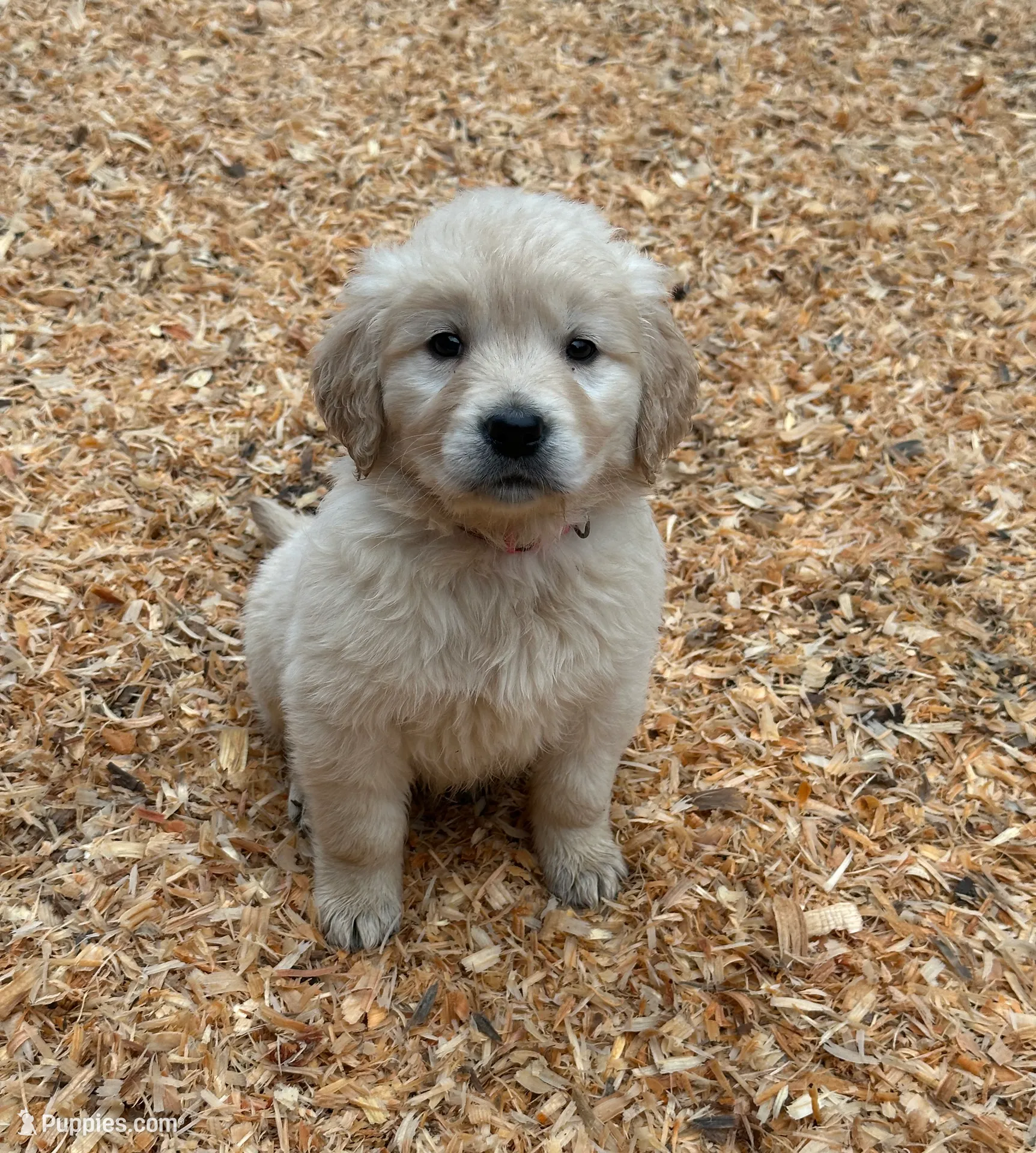 processed/181e7d4d-8526-46d4-876c-b53ebc1f7546/listing/f13ba679-d1ba-44bc-a6a7-47d60ffe7485/2a0ed485-0aeb-49dd-8b93-fbe13a7329b3