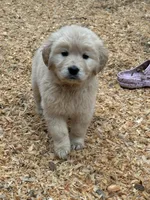 processed/181e7d4d-8526-46d4-876c-b53ebc1f7546/listing/f13ba679-d1ba-44bc-a6a7-47d60ffe7485/2f958fd7-ceb3-44a0-8866-db79dad80e97