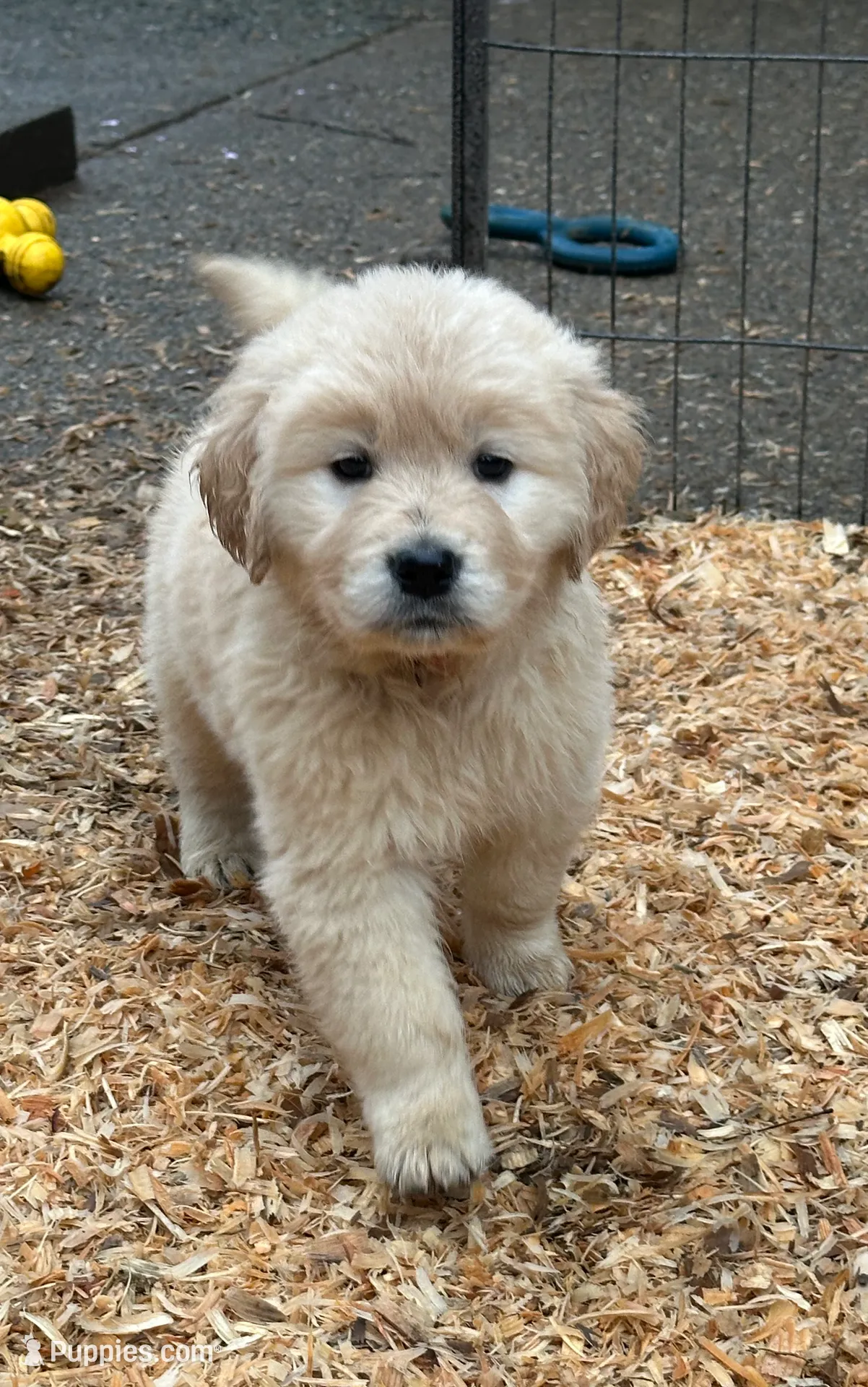 processed/181e7d4d-8526-46d4-876c-b53ebc1f7546/listing/f13ba679-d1ba-44bc-a6a7-47d60ffe7485/329d7a31-6289-4339-bc8b-fc35637acbfb