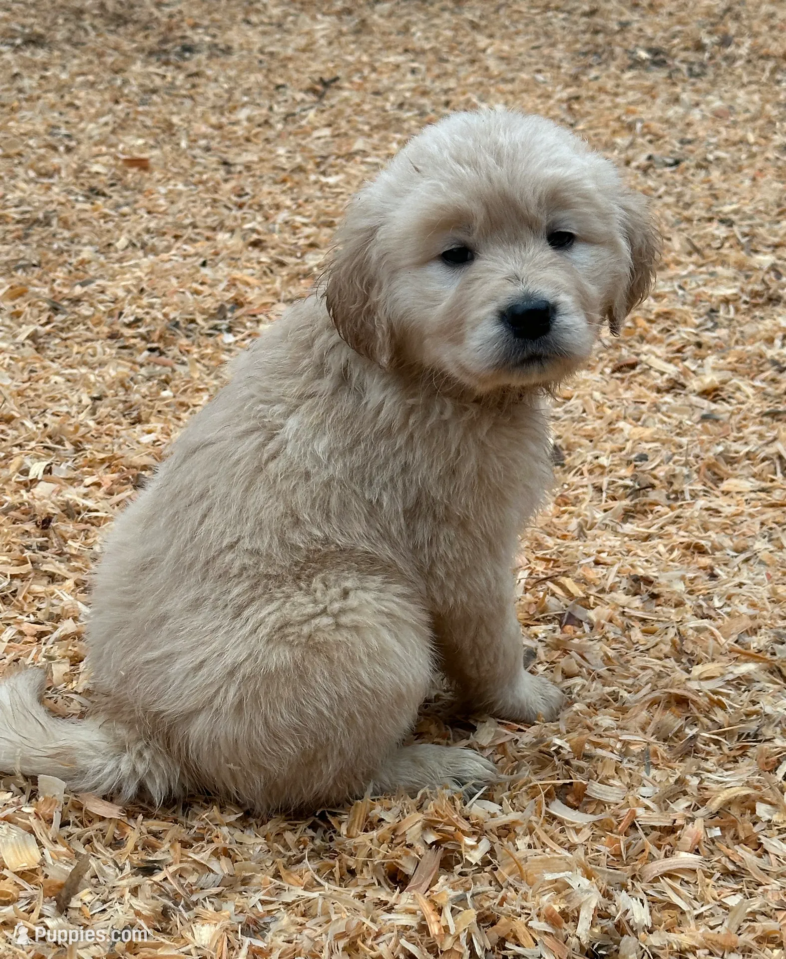 processed/181e7d4d-8526-46d4-876c-b53ebc1f7546/listing/f13ba679-d1ba-44bc-a6a7-47d60ffe7485/52eb0fbb-c073-4a14-a796-df6ee4a4501e