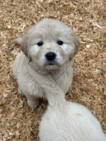 processed/181e7d4d-8526-46d4-876c-b53ebc1f7546/listing/f13ba679-d1ba-44bc-a6a7-47d60ffe7485/676c9aaa-fa7e-4791-92ae-acb7edd8743c