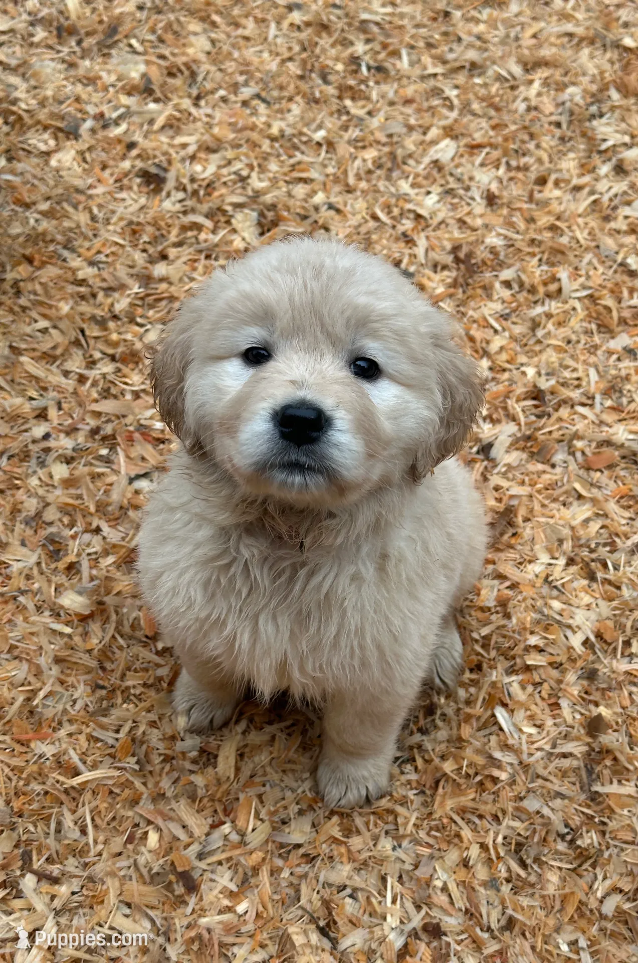 processed/181e7d4d-8526-46d4-876c-b53ebc1f7546/listing/f13ba679-d1ba-44bc-a6a7-47d60ffe7485/75ff2ad7-646c-4286-80dd-8f6179b77963