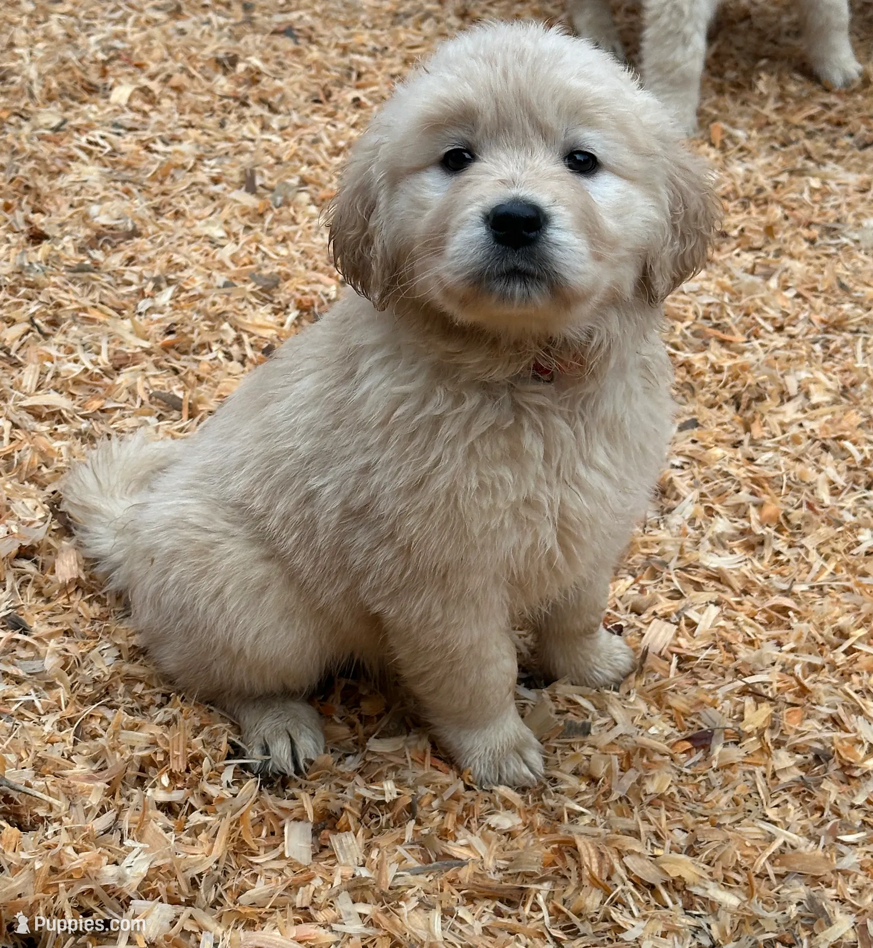 processed/181e7d4d-8526-46d4-876c-b53ebc1f7546/listing/f13ba679-d1ba-44bc-a6a7-47d60ffe7485/965d52f2-0f4b-45cb-a0fd-207709bb9ae0