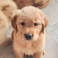 processed/182879c3-cd61-47a2-8858-01d9d51a00cc/facility/61b44930-e9b3-4e94-9dae-6cb52ca6e10f