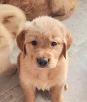 processed/182879c3-cd61-47a2-8858-01d9d51a00cc/facility/61b44930-e9b3-4e94-9dae-6cb52ca6e10f