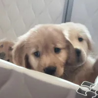 processed/182879c3-cd61-47a2-8858-01d9d51a00cc/facility/9fc2c337-d14c-4333-8c00-5f0900a99512