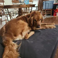 processed/182879c3-cd61-47a2-8858-01d9d51a00cc/listing/2f49da15-deb2-4722-b066-14b60442a8fc/7ab7c39f-1fde-4c6a-8d97-0a7e9198d863