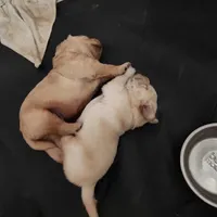 processed/182879c3-cd61-47a2-8858-01d9d51a00cc/listing/7773d2b4-5b07-46da-b0ef-ad30d08f8e19/421254be-0eea-43dd-996f-b73ea208f64f