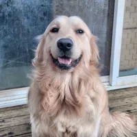 processed/182879c3-cd61-47a2-8858-01d9d51a00cc/listing/7f184c29-fc30-4bb1-a57c-557de5f485a8/53346996-e302-4fe7-9b89-6451d506c0bd